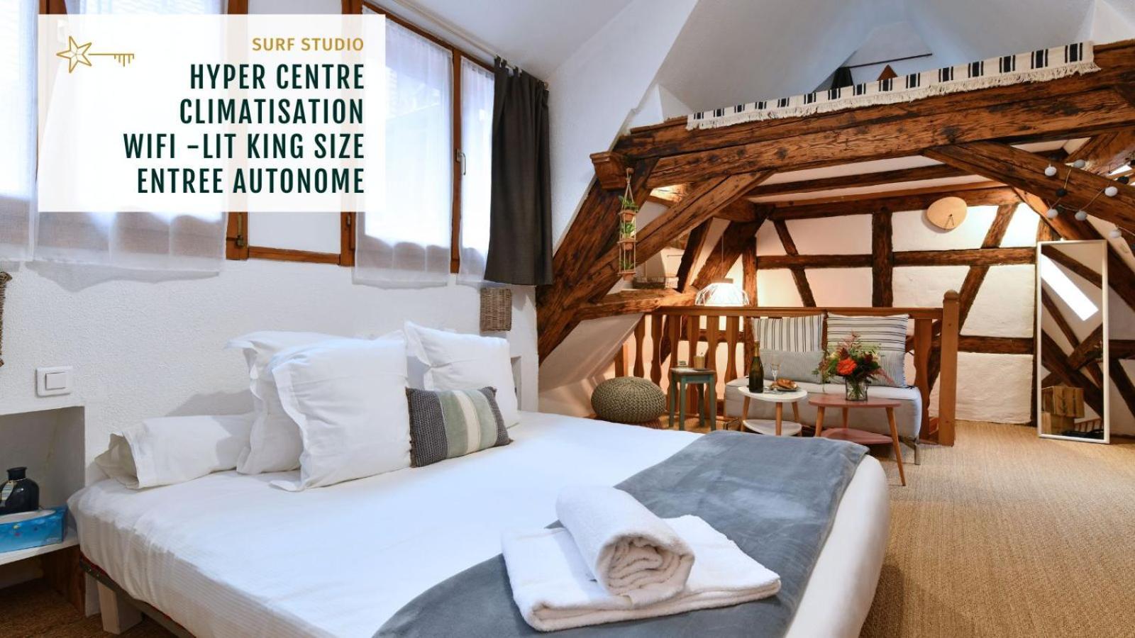Gite See You Soon - Studio Surf Colmar Ngoại thất bức ảnh